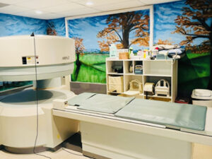 2005 Hitachi Airis II 0.3T Open MRI